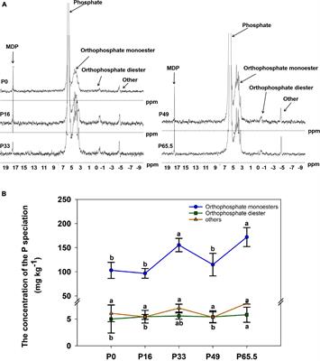 phoD-harboring bacterial community composition dominates organic P mineralization under long-term P fertilization in acid purple soil